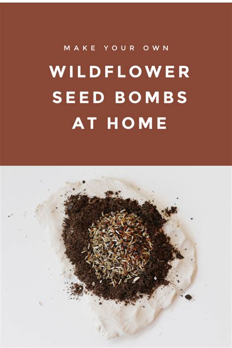 DIY Seed Bombs Recipe: An Easy Garden Hack | Seed bombs, Seed bombs diy, Wildflower seeds