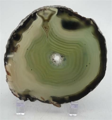 Green Banded Agate Polished Slice 64 grams | eBay