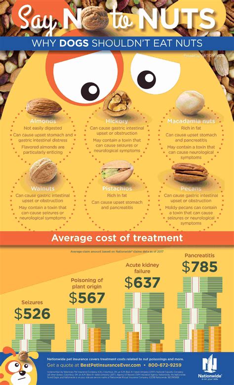 Nut Dangers to Dogs Infographic | Pet Health Insurance & Tips