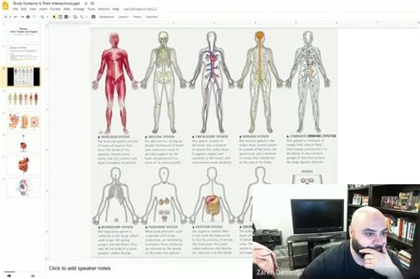 Grade 11 Biology Unit 5 – Anatomy of Mammals – YMCA Academy