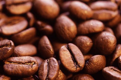 Free Stock photo of Roasted coffee beans | Stockmedia.cc