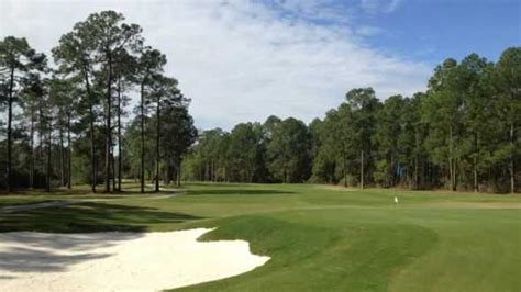 Enjoy No Fees At Turkey Creek Golf Course - Alachua FL | TeeOff