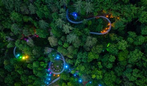 Moonshine Mountain Coaster in Gatlinburg, Tennessee