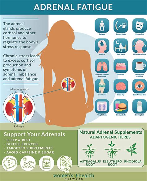 Adrenal Fatigue: Symptoms, Causes and Treatments | Women’s Health Network