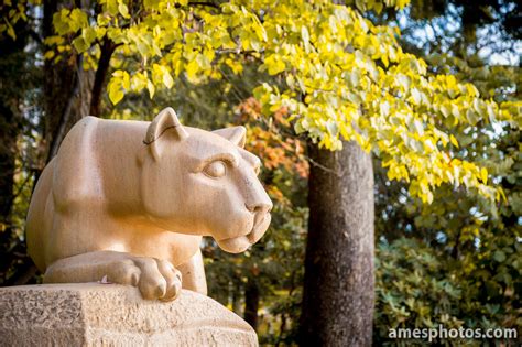 William Ames Photography | Penn State Nittany Lion | Nittany Lion ...