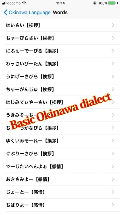 Okinawa language dictionary by B.Bird Inc.