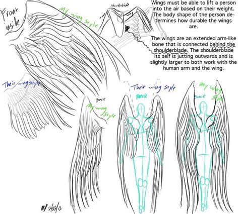 Image result for how large must a humans wings be | Wings drawing, Art ...