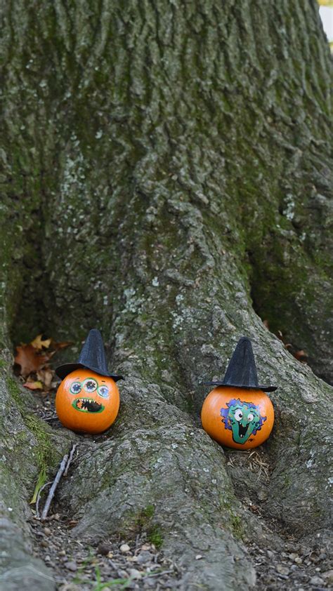 Vertical Video of Halloween Decorations in a Tree Root · Free Stock Video