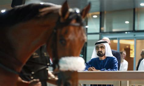 Sheikh Mohammed attends the second Dubai Breeze-Up Sale held at the Meydan Racecourse - GulfToday