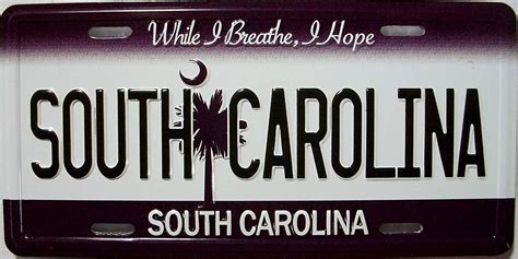 South Carolina State License Plate Novelty Fridge Magnet - Walmart.com