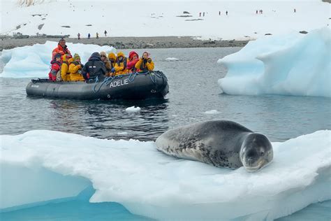 Antarctica - Expedition cruises