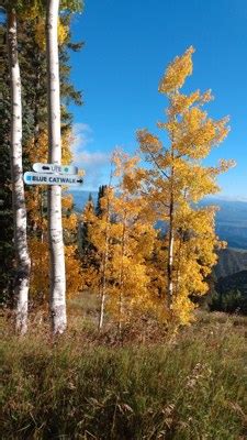 Hiking – Sunlight Ski Area — The Colorado Mountain Club