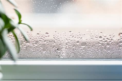 How Humidity Affects Your Health & Your Home