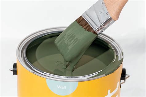 Meet Daily Greens: A Rich, Green Paint Shade You'll Love! – Clare