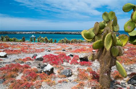 Découvrez les îles Galapagos en 30 infos fascinantes