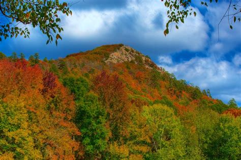 8 Incredible Spots to See Fall Foliage in Arkansas - Territory Supply