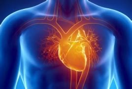 Good heart health in middle age linked to lower dementia risk - PanARMENIAN.Net
