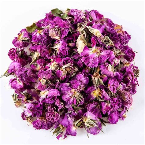 Buy Dry Flowers Online for Crafts, Decor & More | NatureBase