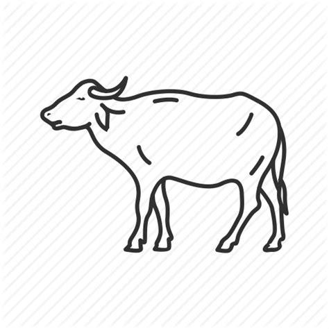 33+ Carabao Drawing Easy Step By Step | EmilioMirabelle