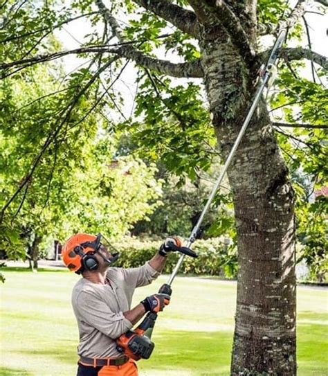 Best Pole Saws of 2021 - [For Smaller Backyards & Gardens]