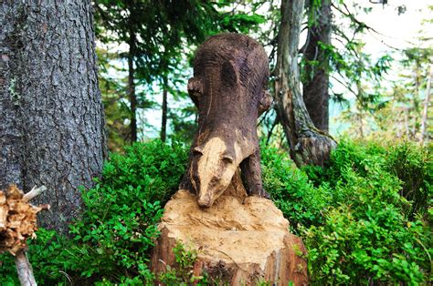 Image libre: sculpture, animal, bois sculpté, tronc d'arbre