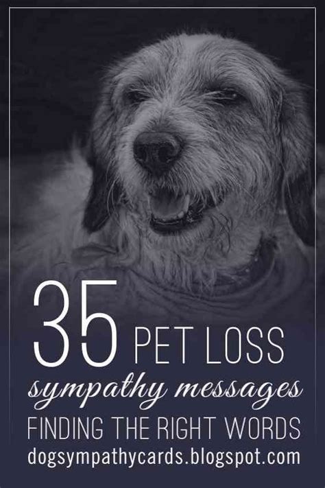 Visit: http://jagifts.us/PetLossSympathyMessages - Pet loss is losing ...