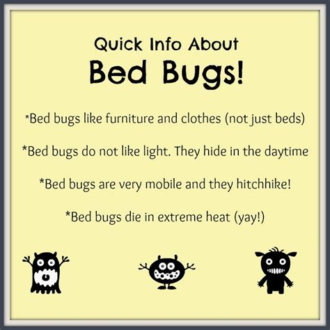 10 Tips for Preventing BED BUGS! | Making Life Blissful