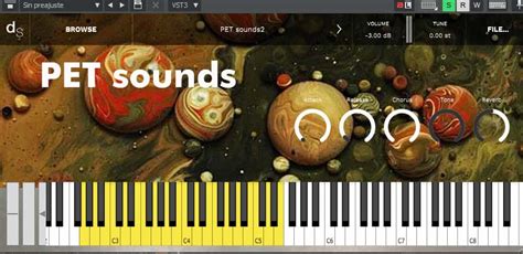 PET Sounds – Pianobook