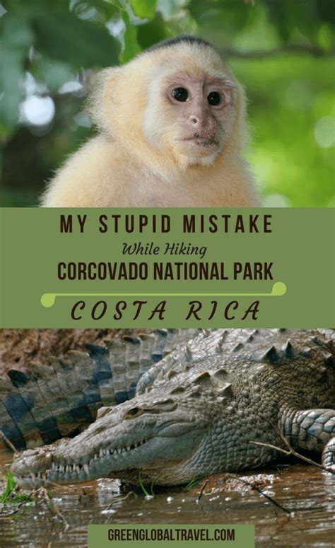 My Stupid Mistake While Hiking Corcovado National Park, Costa Rica. Our epic guide includes tips ...