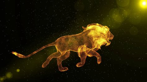 Lion Abstract Wild Animal Running Through Stock Motion Graphics SBV ...