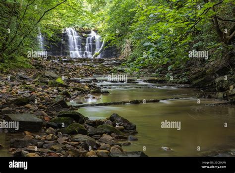 Hidden waterfall in a deep gorge with trickling white water. Forest of ...