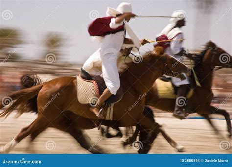 Horses exhibition stock photo. Image of animals, head - 2880554