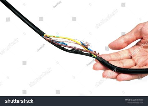 Damage On Electricity Wire Rat Bite Stock Photo 2253636397 | Shutterstock