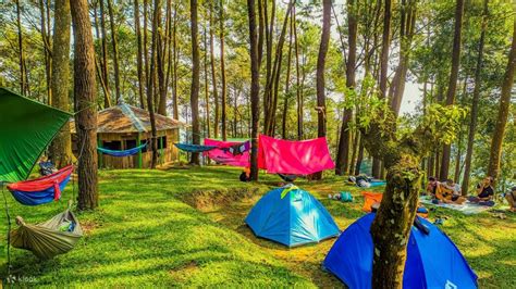 10 Glamping di Bogor Paling Kesohor, di Sentul Hingga Puncak