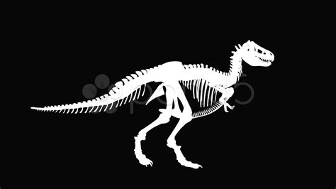 T Rex Skeleton Silhouette