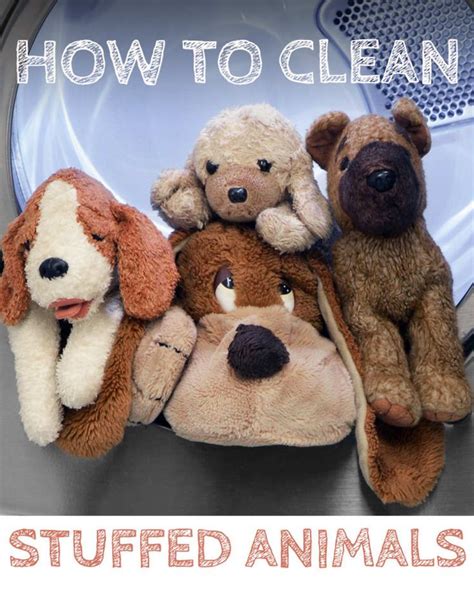 How to Wash Stuffed Animals | Clean stuffed animals, Washing stuffed ...