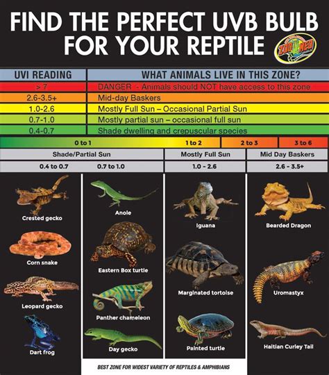 Which UVB Bulb is best for your reptile? Find out what zone your ...