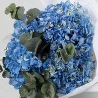 Blue Clouds of Hydrangea Bouquet in Riyadh | Joi Gifts