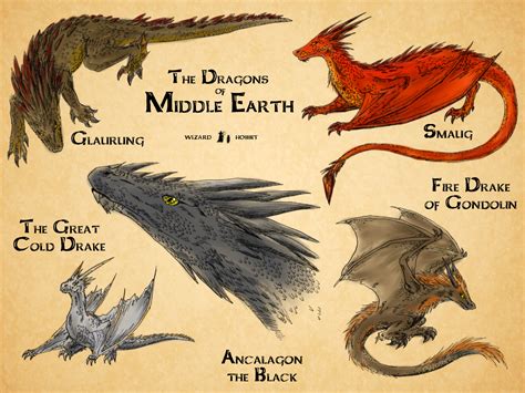 the drakes of middle earth | Dragons of middle earth, Middle earth, The hobbit