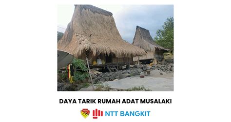 Mengenal Sejarah Musalaki Sebagai Rumah Adat Flores NTT - NTT Bangkit