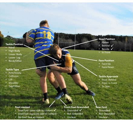 Profiling the tackle and its injury characteristics in premier New Zealand club rugby union ...