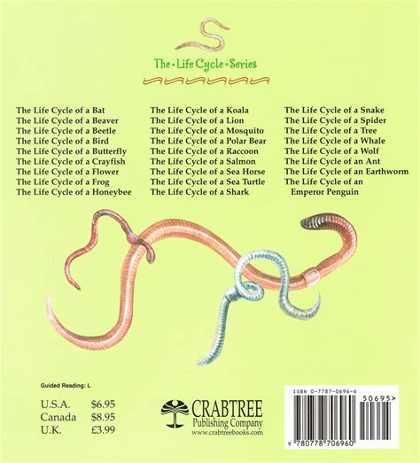 Earth Worm-Life Cycle – Whetung Ojibwa Centre