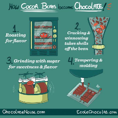 How Chocolate is Made