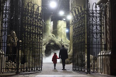 Harry Potter fans can now enter the Forbidden Forest – and meet Buckbeak and Aragog | London ...