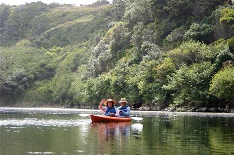 Kayaking on the Gualala River – it’s bliss! – Mendonoma Sightings