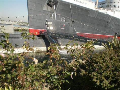 Owners of Submarine Docked Next to Queen Mary in Long Beach Sue, Alleging Neglect and Raccoon ...