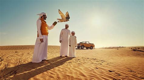 Falconry | Culture and Tradition | Experience Abu Dhabi