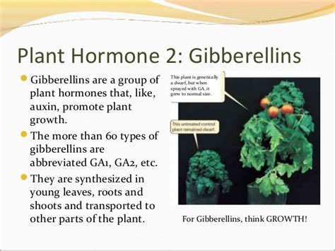 Plant hormones and plant reproduction