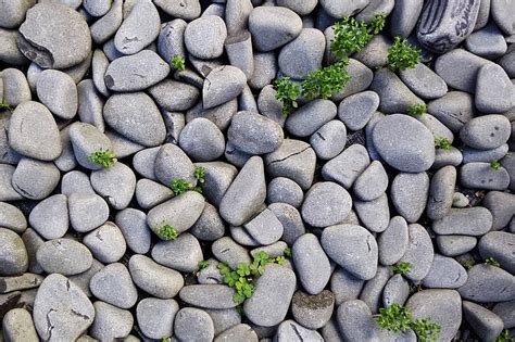 HD wallpaper: stones, grey, background, rocks, gray, texture, pebbles, solid | Wallpaper Flare