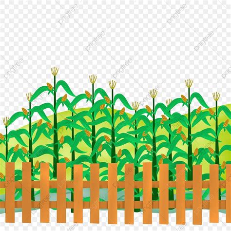 Corn Field Clipart Transparent PNG Hd, Corn Field Clipart, Corn, Field, Corn Field PNG Image For ...